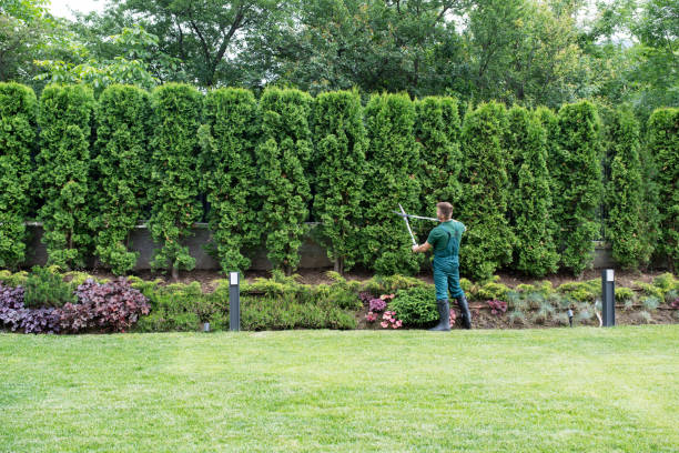 Best Arborist Consultation Services  in Hartford City, IN